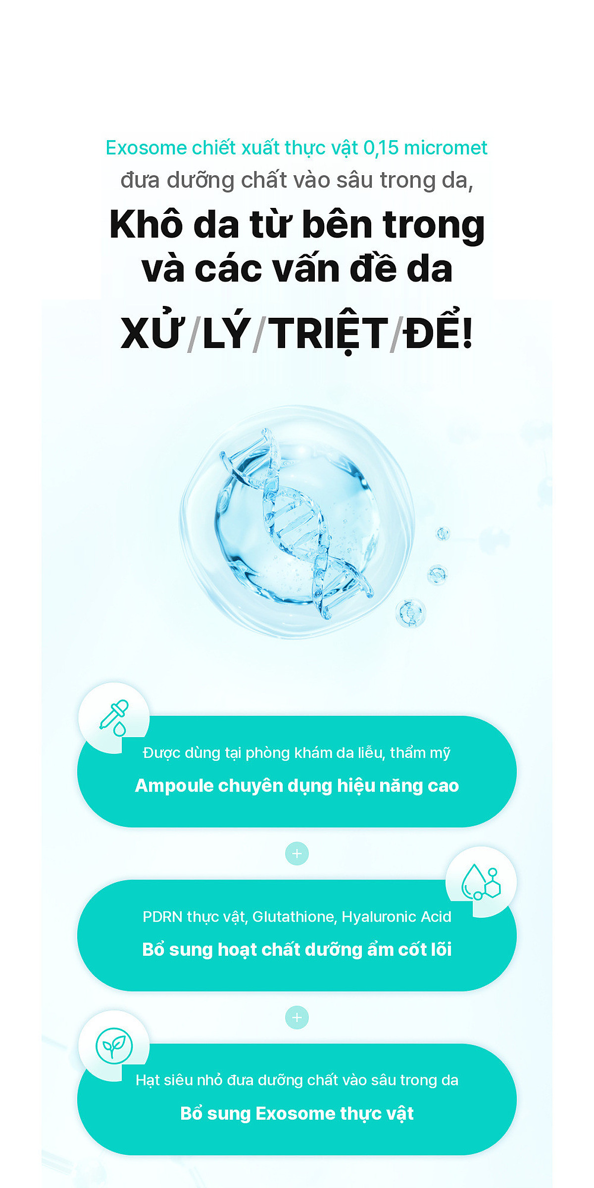 미라렛 피토 인텐시브 스킨부스터 2.0ml×4ea 상세 5
